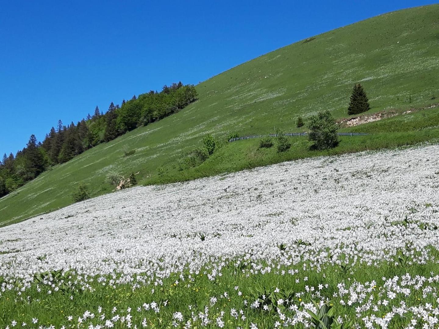 Valreley, Chambres Et Table D'Hotes Eco-Friendly Avec Bain Nordique Au Sud Du Massif Du Jura Champagne-en-Valromey Eksteriør bilde